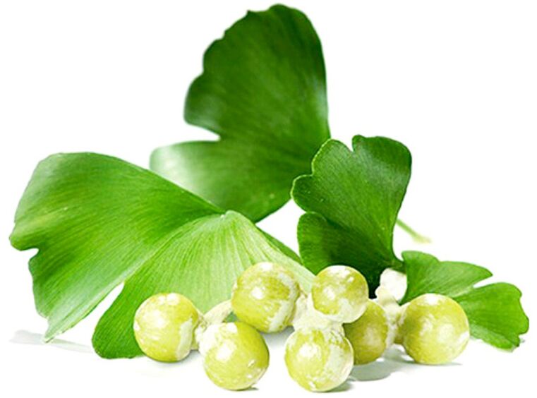 Τα φύλλα Ginkgo biloba βελτιώνουν τη ροή του αίματος στους ιστούς του πέους